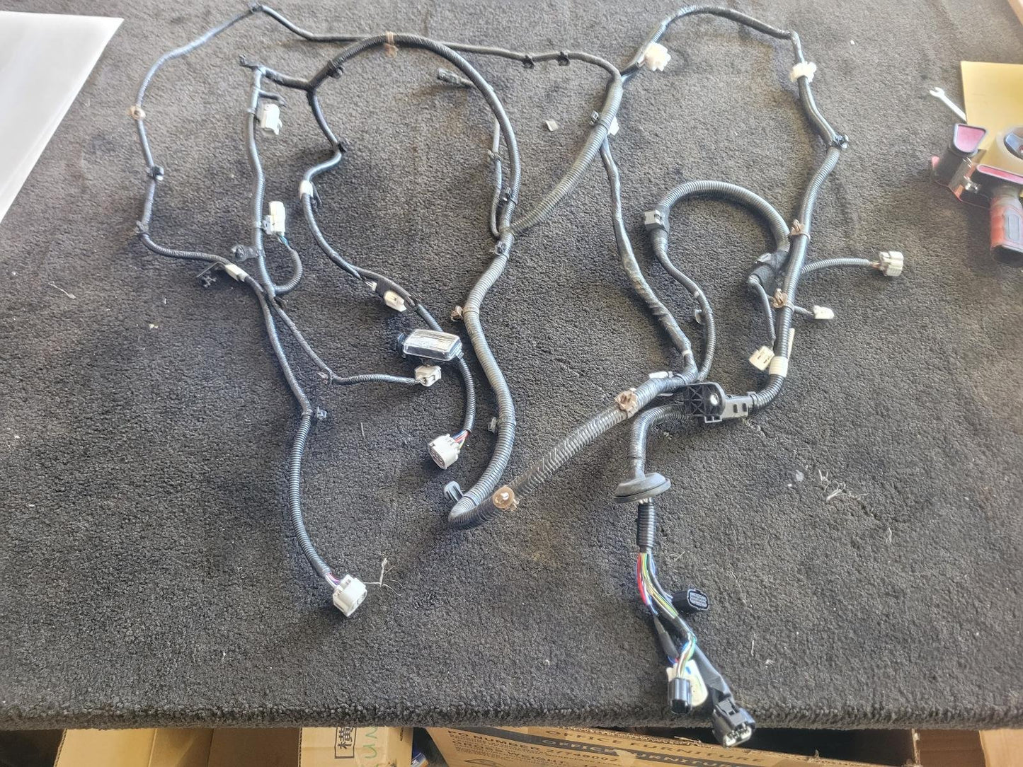 Toyota Hilux GUN (22-26) - Wiring Harness - 1GD - 2022-2026