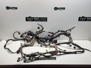 Mar 2005 to Aug 2011 - Toyota Hilux - Wiring Harness