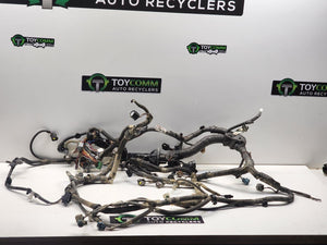 Mar 2005 to Aug 2011 - Toyota Hilux - Wiring Harness